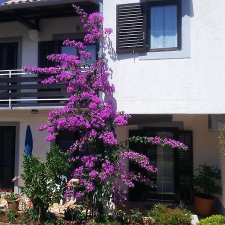 Apartments Barac Poreč Exterior foto